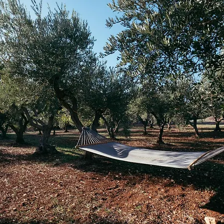 Da Sogno Con Piscina Privata E Idromassaggio *