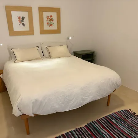 Da Sogno Con Piscina Privata E Idromassaggio 빌라 산 미켈레 살렌티노